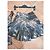 Completo Top e Gonna in Seta Roberto Cavalli Marrone Multicolore - vista 3