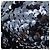 Autre Marque SAINT LAURENT Purse Shoulder Bag Sequin nylon Black - vista 13