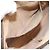 GUCCI GG Supreme Web Sherry Line Bag PVC Beige Gold 904 02 047 - vista 11