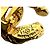 Orecchini Chanel Vintage Coco Mark Motivo Lava D'oro - vista 2