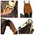 Louis Vuitton Pochette Accessoires Pouch Marrone - vista 7