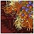 Hermès HERMES Carre 90 Pañuelo de Seda Bordeaux Auth 198389M Burdeos - vista 13