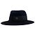 Chapeau Maison Michel noir T.S Black