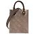 LOUIS VUITTON - Borsa a tracolla Cabas Plat PM Louis Vuitton in pelle verniciata silver e gold edizione limitata D'oro
