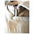Christian Lacroix Abrigo de Algodón Bordado Multicolor Beige - vista 11