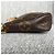 Louis Vuitton Mini Pochette Accessoires Monogram Marrom - vista 4