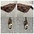 Louis Vuitton Mini Pochette Accessoires Damier Ebene Marrone - vista 13