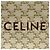 Céline Celine Triomphe Mini Vertical Cabas Schultertasche aus beschichtetem Canvas und Leder Braun Roh - Ansicht 10