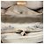 Borsa Louis Vuitton Monogram Deauville M47270 Marrone - vista 4