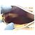 Louis Vuitton Mini Borsa Speedy Mini HL Monogram Canvas Marrone - vista 3