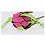 LOEWE Dragon Fruit Charm Leather Pink Gold Auth 204060M Rosa D'oro - vista 6