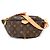 Louis Vuitton Monogram Sling Bag