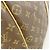 Louis Vuitton Boston Monogram Flanerie 50 Tasche Braun - Ansicht 15