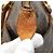 Saco Tote Louis Vuitton Monogram Totally PM Marrom - vista 5