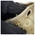 Jimmy Choo Mini Sara Star Studded Handtasche Golden - Ansicht 9