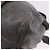 Borsa a Mano Miu Miu in Pelle 2way Grigio Tono Oro Auth 167623M Marrone - vista 19