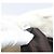 Borsa a tracolla Miu Miu Matelassé con catena in pelle 2way White Silver Auth 202695A Argento Bianco - vista 12