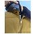 Miu Miu Jacket with Removable Shearling Collar Multiple colors - view 2