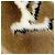 Louis Vuitton Keychain Charm Portefeuille LV Vison Brown - view 4