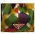 Prada Multi Canvas Canapa Stampata Tote Multicolor - vista 4