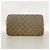 Bolso de hombro Louis Vuitton Monogram Amfar Three Vanity Star Castaño - vista 3