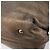 Borsa Salvatore Ferragamo Gancini in pelle 2way Gold Auth bs37237 D'oro - vista 17