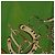 Hermès Foulard HERMES Carre90 "MAN`EGE" Seta Verde Auth bs37309 - vista 12