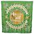 Hermès Foulard HERMES Carre90 "MAN`EGE" Seta Verde Auth bs37309 - vista 15