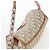 Borsa Christian Dior Trotter Canvas Romantic Chain Bag PVC Beige Argento Auth 202506SAM - vista 6