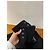 Chanel Black Tweed Jacket with Silver Thread Multiple colors - view 4