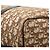 Borsa Christian Dior Dior Trotter Boston Bag Marrone Beige - vista 7