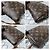 Louis Vuitton Favorite PM Monogram Canvas Umhängetasche Braun Monogramm - Ansicht 11