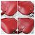 Borsa Louis Vuitton Epi Alma PM Rossa Rosso - vista 11