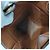 Céline Celine Box-Handtasche aus braunem Leder mit Riemen - Ansicht 7