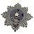 Spilla Christian Dior 1947 Signature BUFFALO STAR Argento