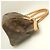 Bolsa Louis Vuitton Monogram Tivoli PM Marrom Monograma - vista 4