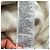 Robe midi à manches longues Gucci GG Monogram en coton crème Blanc Écru - vue 9