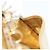 LOUIS VUITTON Miroir Agenda PM Funda de agenda dorada R20962 LV Auth 205923A Dorado - vista 11