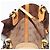 Borsa LOUIS VUITTON Monogram Vinyl Cabas Amble PM Brown M92502 LV Auth ep15927 Marrone - vista 20