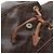 Edge Céline Mochila CELINE Macadam Canvas PVC Leather Brown Gold Auth 204235 Castaño Dorado - vista 25