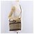 Borsa a tracolla Burberrys Nova Check Canvas Beige Gold Auth ep16148 D'oro - vista 30