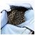 Borsa a mano FENDI in pelle 2way Viola Oro YX1 2461 Auth ka6396 D'oro Porpora - vista 28