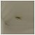 Borsa a tracolla CHANEL Matelasse con catena in pelle d'agnello Bianco Gold CC Auth bs37211 D'oro - vista 31