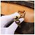 Borsa da viaggio Louis Vuitton Alize 24H Monogram Canvas in marrone M41399 Beige - vista 15