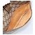GUCCI GG Supreme Web Sherry Line Bag PVC Beige Gold 89 02 032 - vista 11