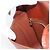LOUIS VUITTON Epi Saint Cloud GM Shoulder Bag Brown M52193 LV - vista 23