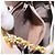 Tiffany & Co TIFFANY&Co. Chain Shoulder Bag Leather Beige Gold Tone - vista 22