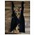 Versace Jeans Couture Schwarzes Barock-Print Kleid Mehrfarben - Ansicht 3