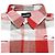 Autre Marque Danke Schon FLANNEL DAMAGE SHIRTS BLOCK Chemise à manches longues mélangée Rouge - vue 4