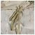 Autre Marque Ingeborg C Lawn Flower Embroidery Skirt White - view 4